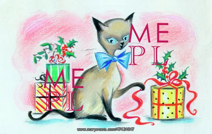 : Siamese Cat with Christmas Presents : Siamese Cat with Christmas Presents