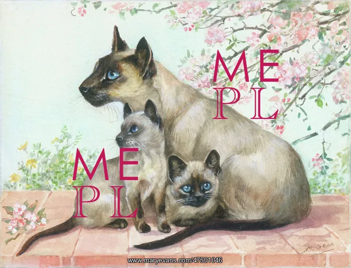 : Siamese Cat and two Kittens : Siamese Cat and two Kittens