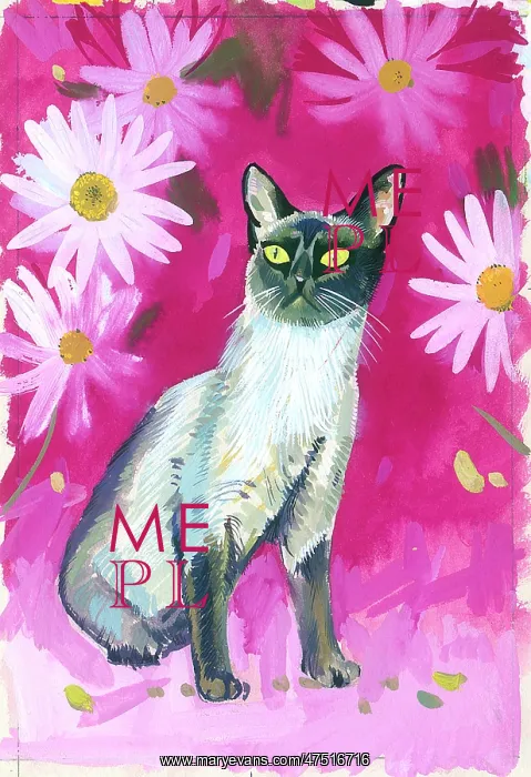 : Siamese Cat with large white daisies : Siamese Cat with large white daisies