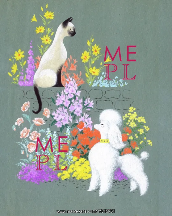 : Siamese Cat and Poodle in a garden : Siamese Cat and Poodle in a garden