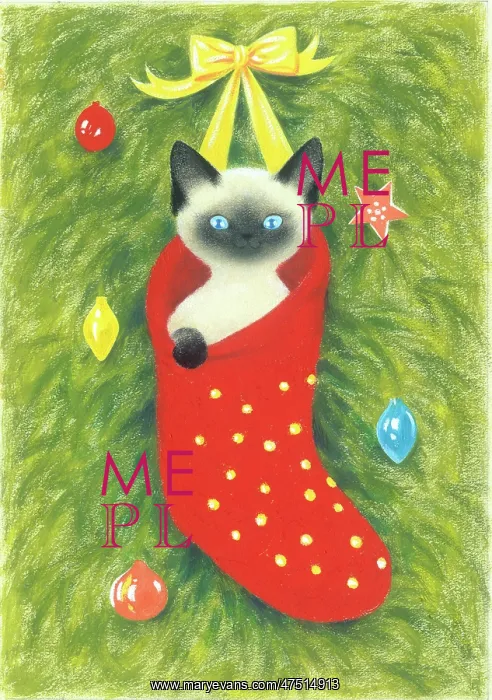  : Siamese Kitten in a Christmas stocking