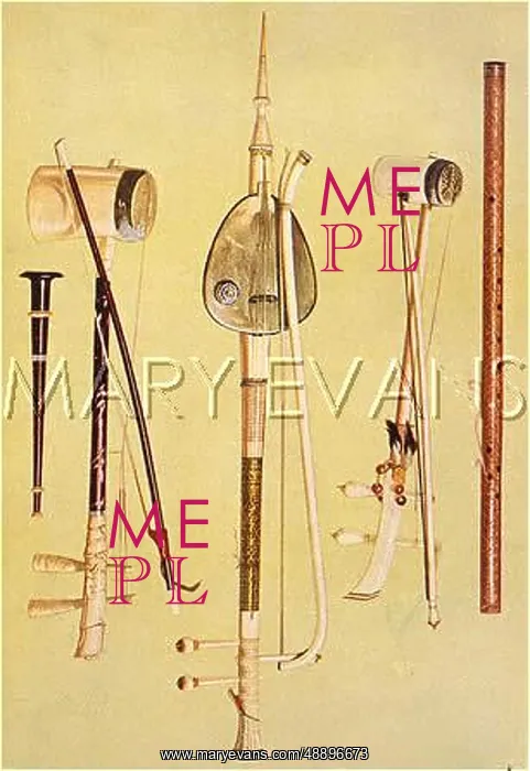 : SIAMESE MUSIC INSTRUMENT : SIAMESE MUSIC INSTRUMENT