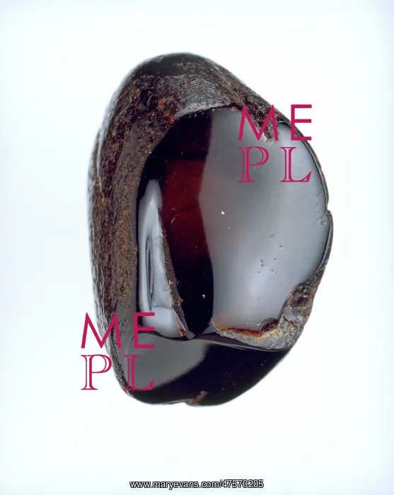 : Sicilian amber : Sicilian amber
