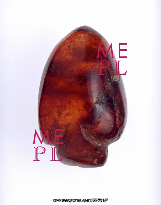  : Sicilian amber carving