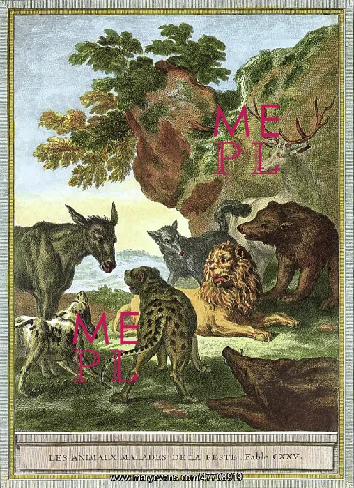  : Sick Animals