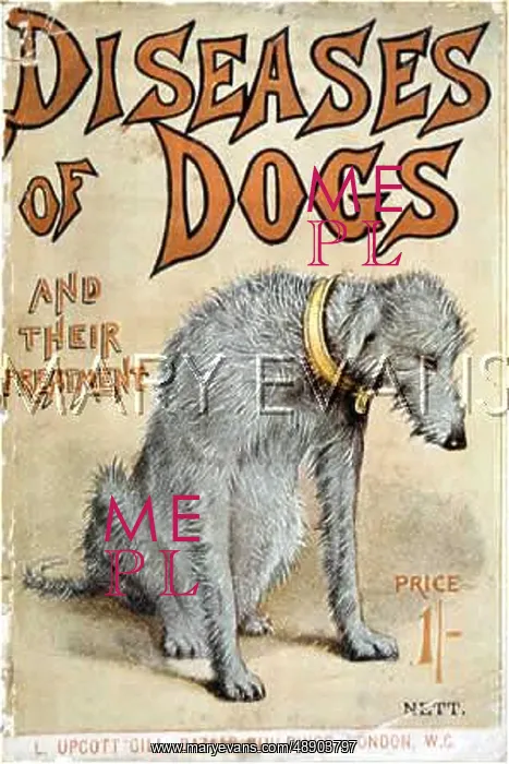 : SICK DEERHOUND : SICK DEERHOUND