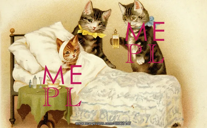 : Sickbed scene with three cats : Sickbed scene with three cats