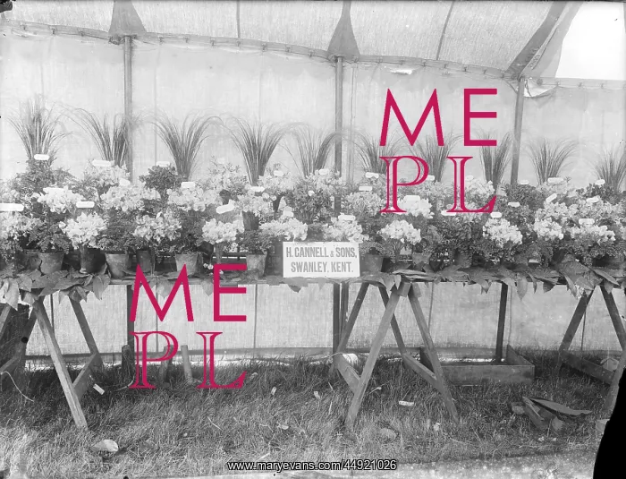 : Sidcup & District Horticultural Show : Sidcup & District Horticultural Show