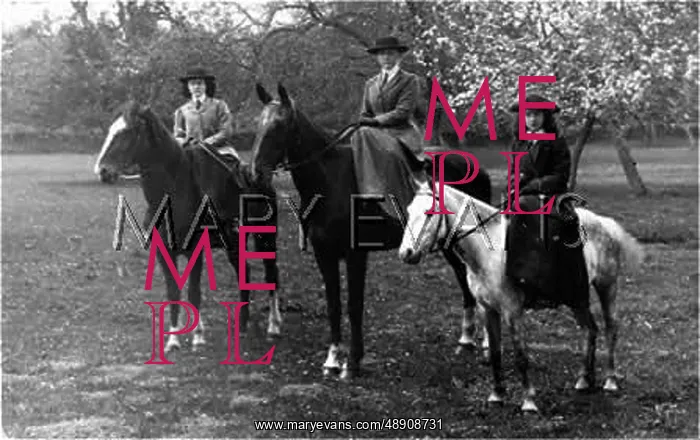  : THREE SIDE-SADDLED
