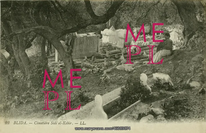 : Sidi el-Kebir cemetery, Blida : Sidi el-Kebir cemetery, Blida