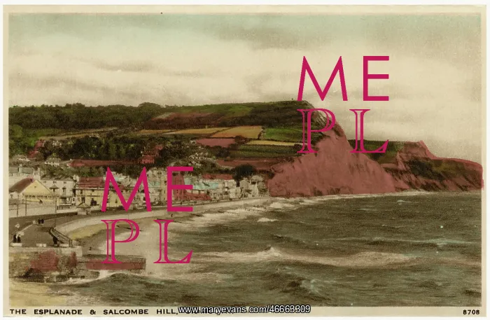  : Sidmouth, Devon - The Esplande and Salcombe Hill