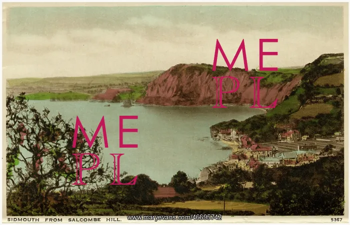  : Sidmouth, Devon - View of the town from Salcombe Hill