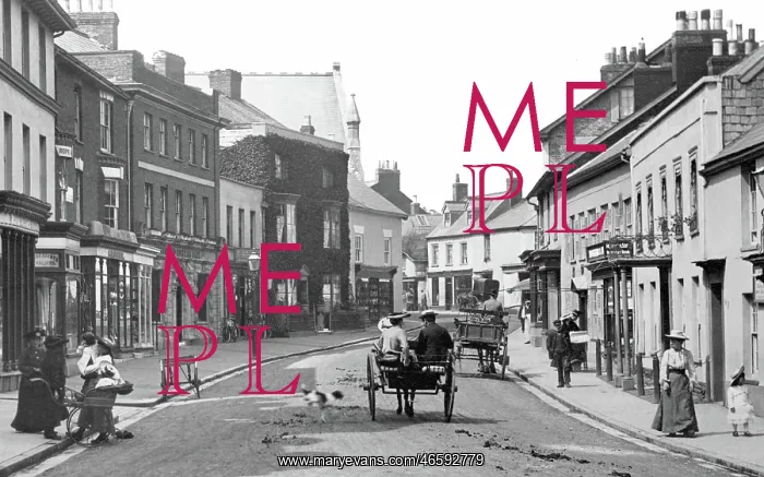  : Sidmouth, High Street 1906
