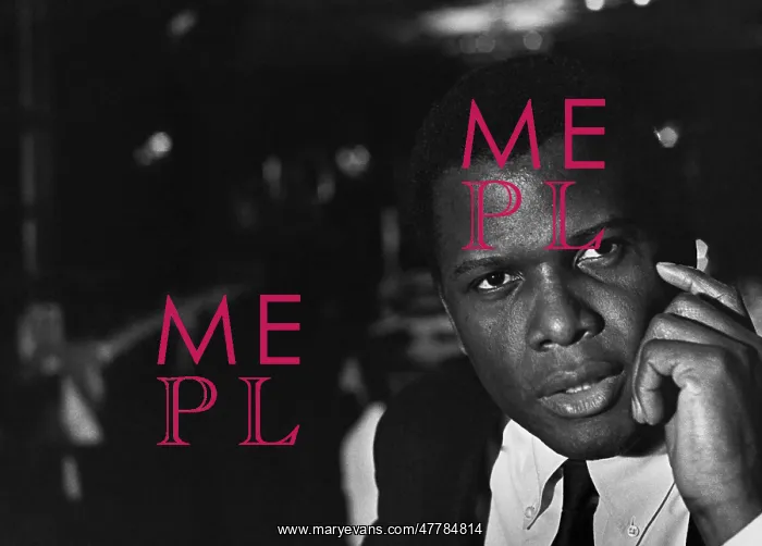 : Sidney Poitier, c.1962 : Sidney Poitier, c.1962