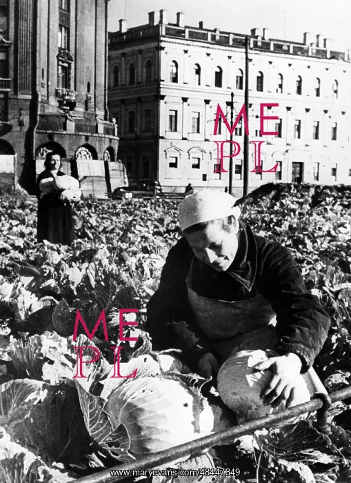 : Siege of Leningrad : Siege of Leningrad