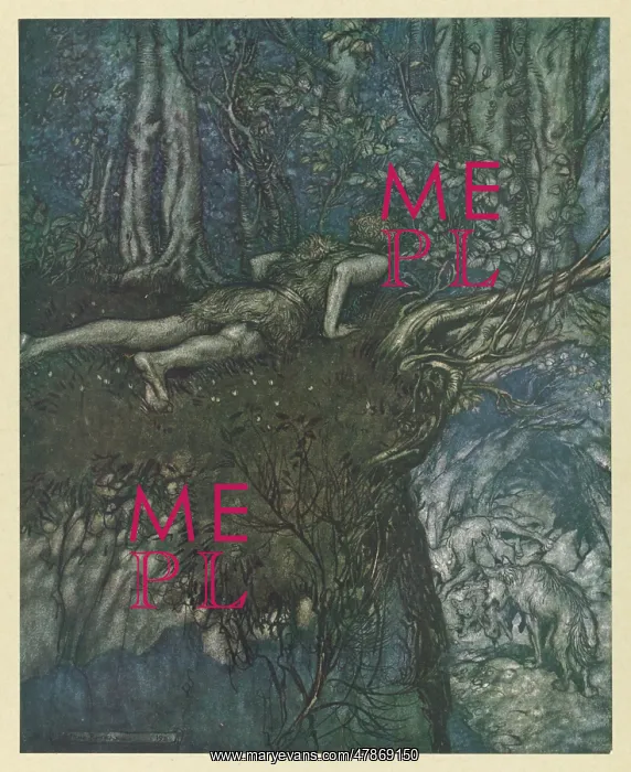 : SIEGFIED IN THE FOREST : SIEGFIED IN THE FOREST
