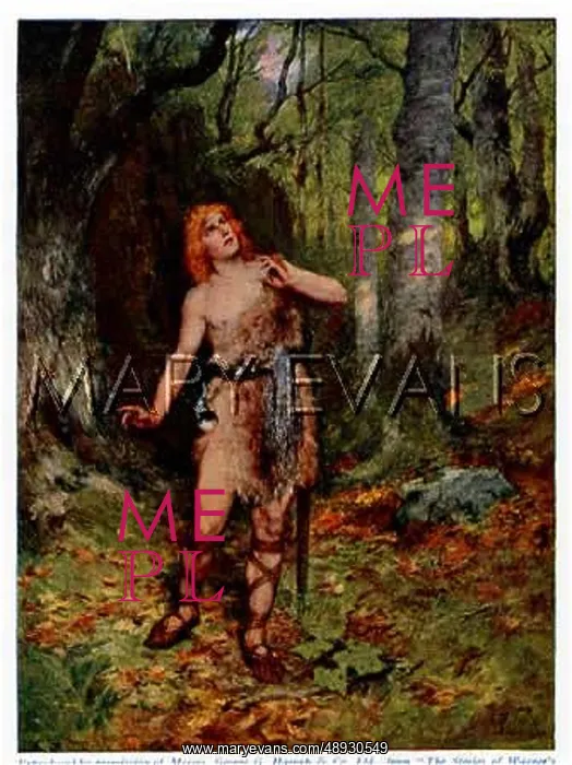 : SIEGFRIED AND BIRD : SIEGFRIED AND BIRD