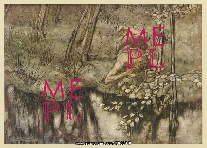 : SIEGFRIED SEES HIMSELF : SIEGFRIED SEES HIMSELF