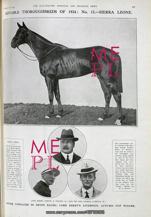 : Sierra Leone, the Racehorse : Sierra Leone, the Racehorse