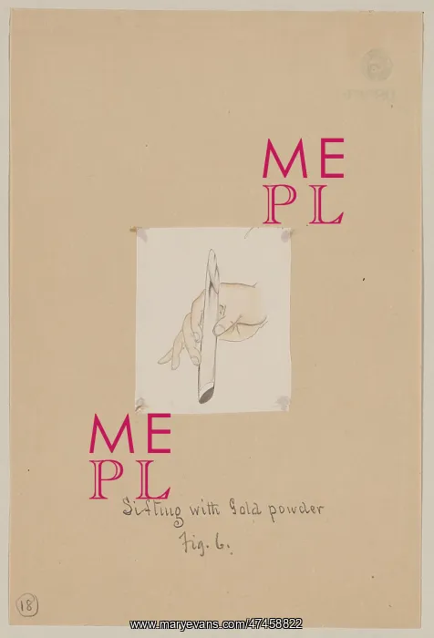 : Sifting with gold powder, fig. 6 : Sifting with gold powder, fig. 6