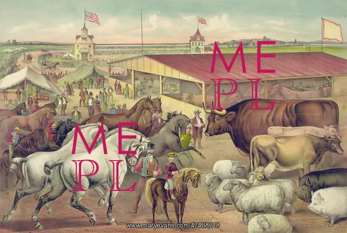  : Sights at the fair ground