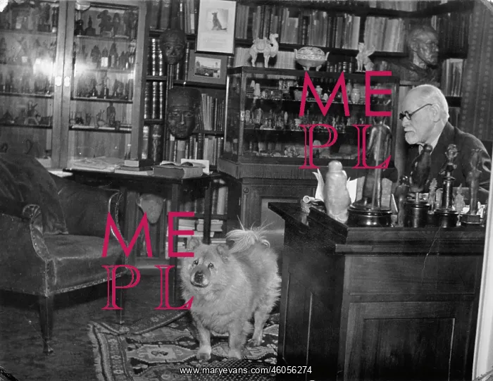 : Sigmund Freud in his bureau : Sigmund Freud in his bureau