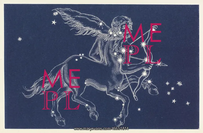 : Sign of the Zodiac - Sagittarius : Sign of the Zodiac - Sagittarius