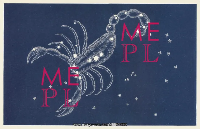  : Sign of the Zodiac - Scorpio