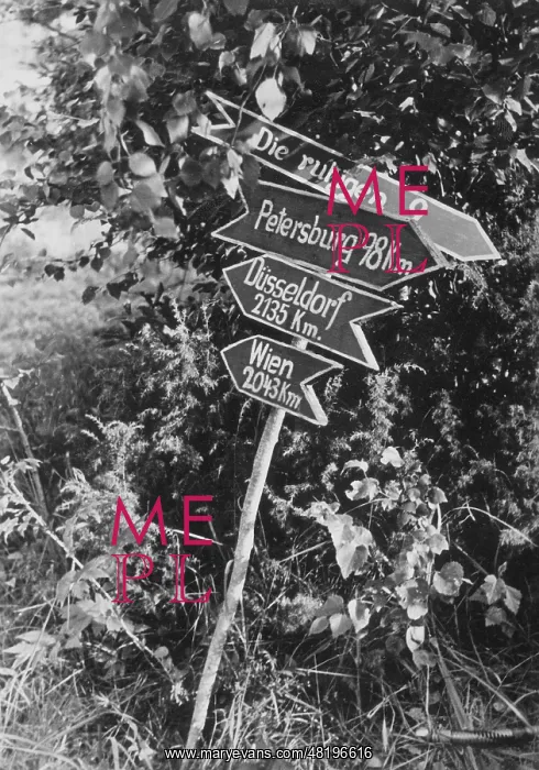 : Signposts on the front near Leningrad, 1941 : Signposts on the front near Leningrad, 1941