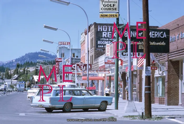 : Signs - Street Scene - Sign Pollution - Environmental Issues : Signs - Street Scene - Sign Pollution - Environmental Issues