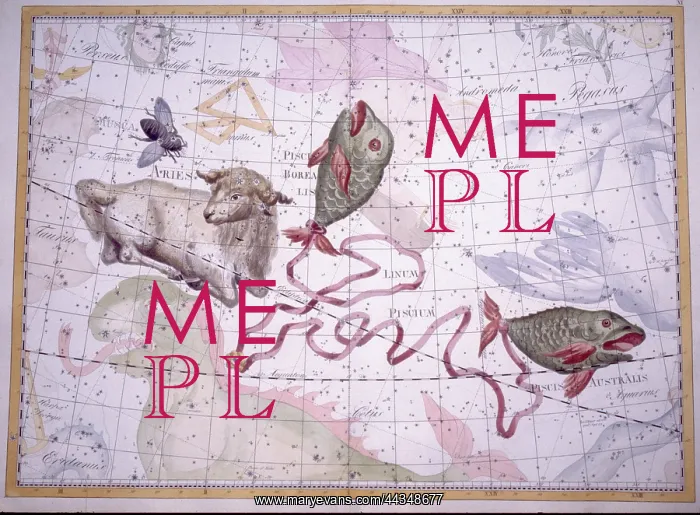 : SIgns of the Zodiac - Aries and Pisces : SIgns of the Zodiac - Aries and Pisces