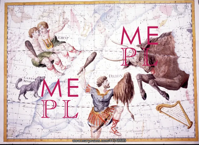 : SIgns of the Zodiac - Taurus and Gemini : SIgns of the Zodiac - Taurus and Gemini