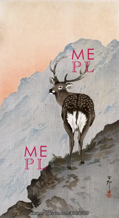 : Sika Stag on the mountainside : Sika Stag on the mountainside