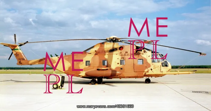: Sikorsky CH-3E 69-5798 : Sikorsky CH-3E 69-5798