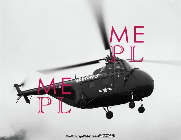 : Sikorsky S-55 : Sikorsky S-55
