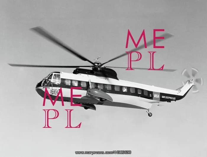 : Sikorsky S-61N : Sikorsky S-61N