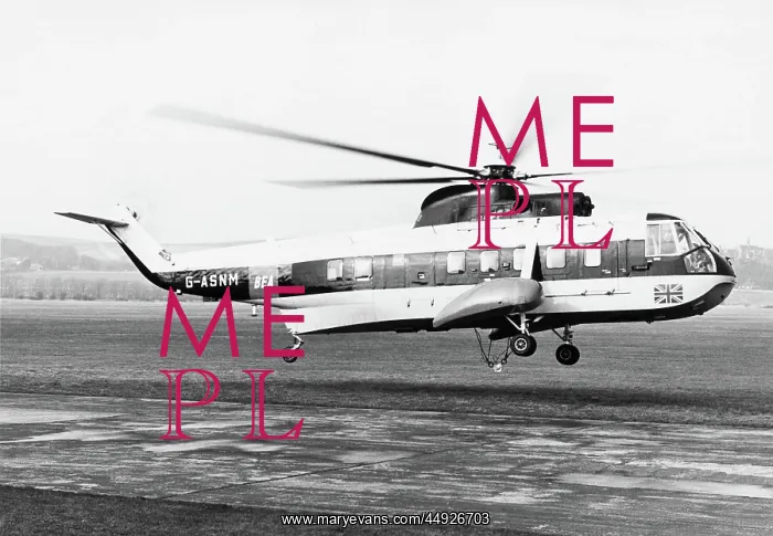 : Sikorsky S-61N : Sikorsky S-61N