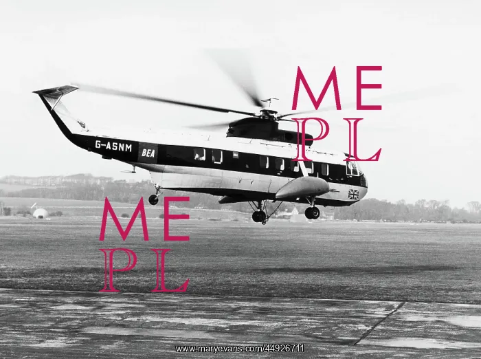 : Sikorsky S-61N : Sikorsky S-61N