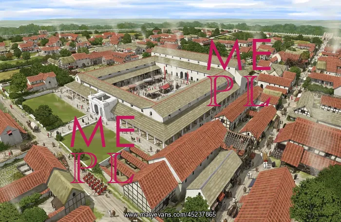 : Silchester Roman City : Silchester Roman City