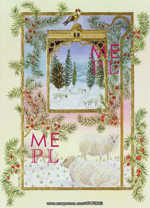 : Silent Night ' sheep in the snow : Silent Night ' sheep in the snow