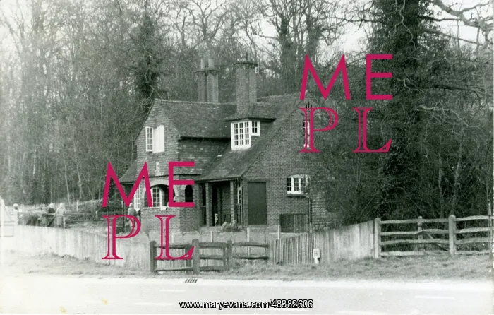 : Silent Pool Tea Room, Shere, Guildford, England : Silent Pool Tea Room, Shere, Guildford, England