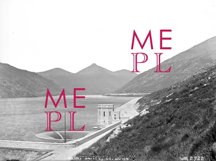: Silent Valley, Co. Down : Silent Valley, Co. Down