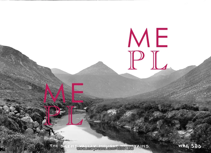 : The Silent Valley, Mourne Mountains : The Silent Valley, Mourne Mountains