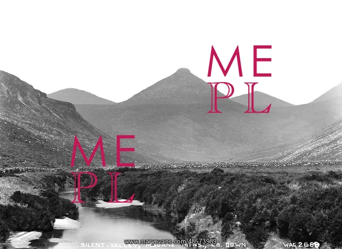 : Silent Valley, Mourne Mountains, Co. Down : Silent Valley, Mourne Mountains, Co. Down