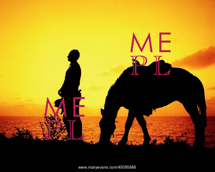 : Silhouette of Anonymous Western Cowboy Standing : Silhouette of Anonymous Western Cowboy Standing