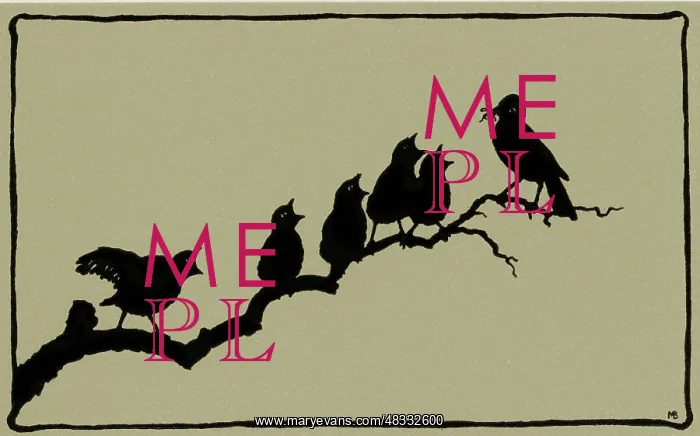  : Silhouette of birds singing on branch