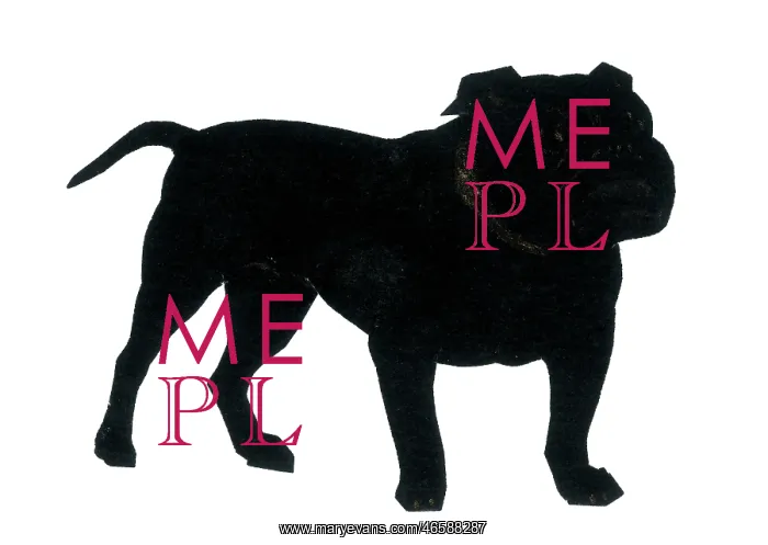  : Silhouette of a British bulldog