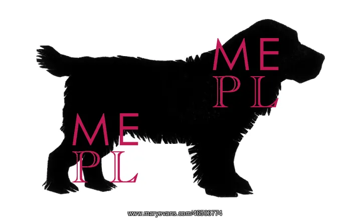  : Silhouette of a cocker spaniel
