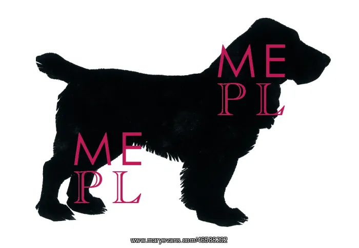  : Silhouette of a cocker spaniel