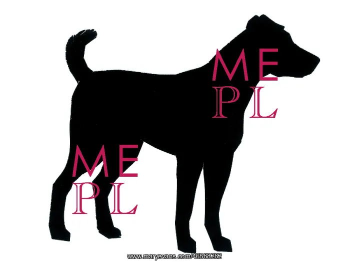 : Silhouette of a dog standing still : Silhouette of a dog standing still